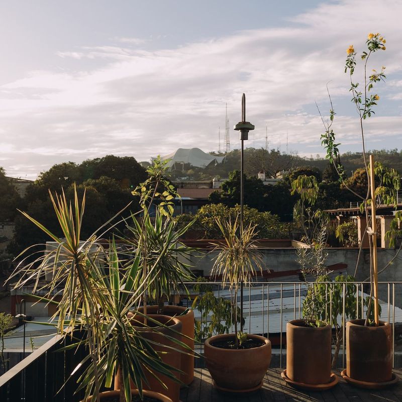 Luxury Home in Oaxaca