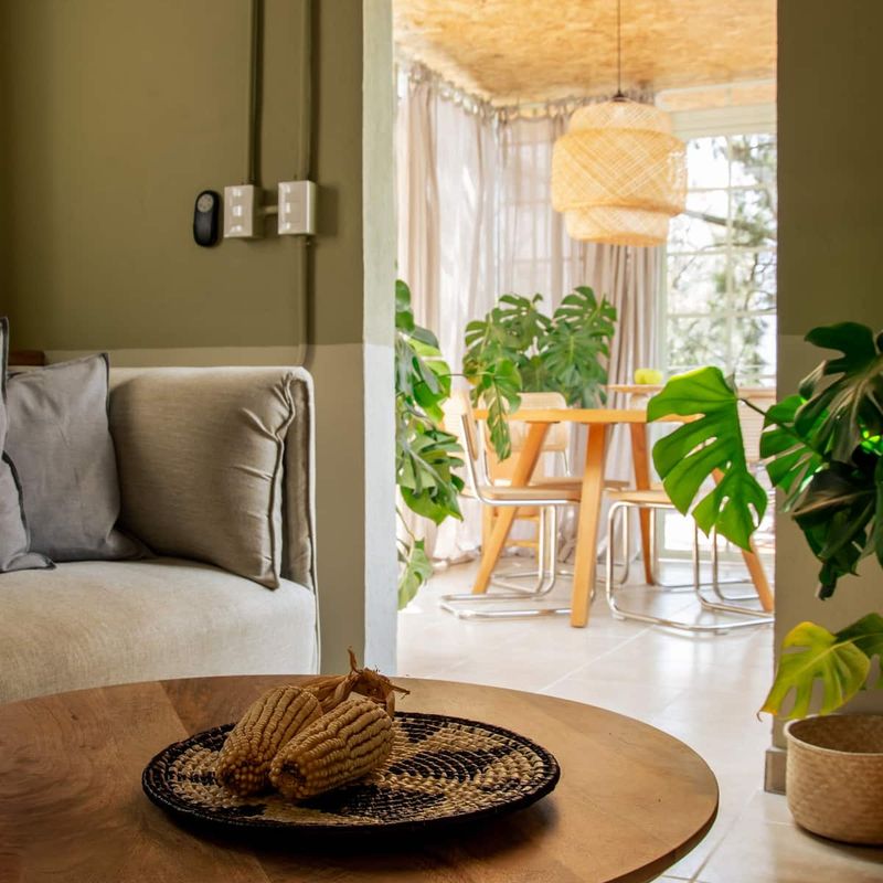 Penthouse in Condesa