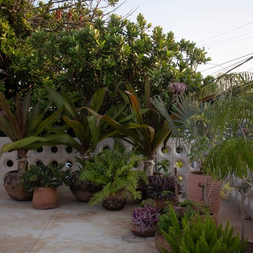 Brutalist Home in Merida