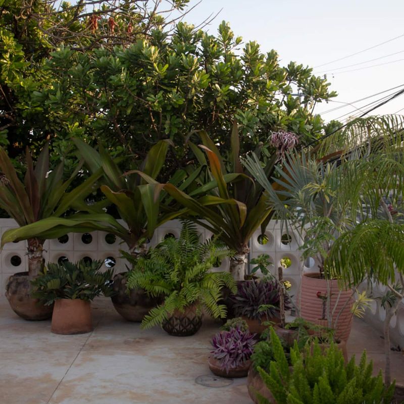Brutalist Home in Merida