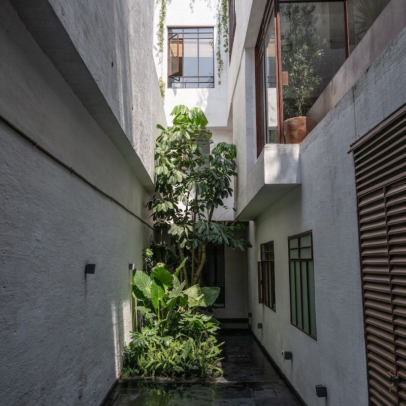 Designer Home in Condesa