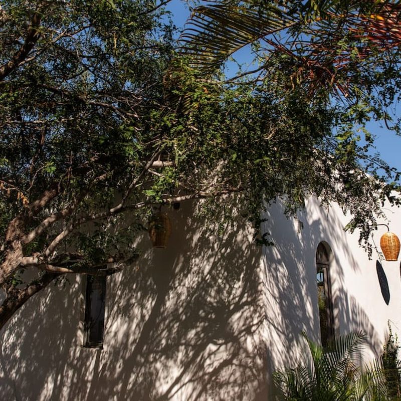 Trendy Home in Todos Santos