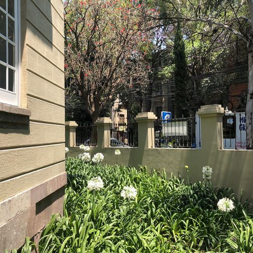 Apartment in Roma Norte