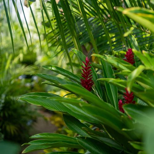 home in El Puertecito