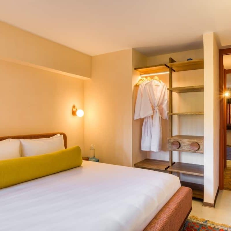 Two Apartments in Condesa