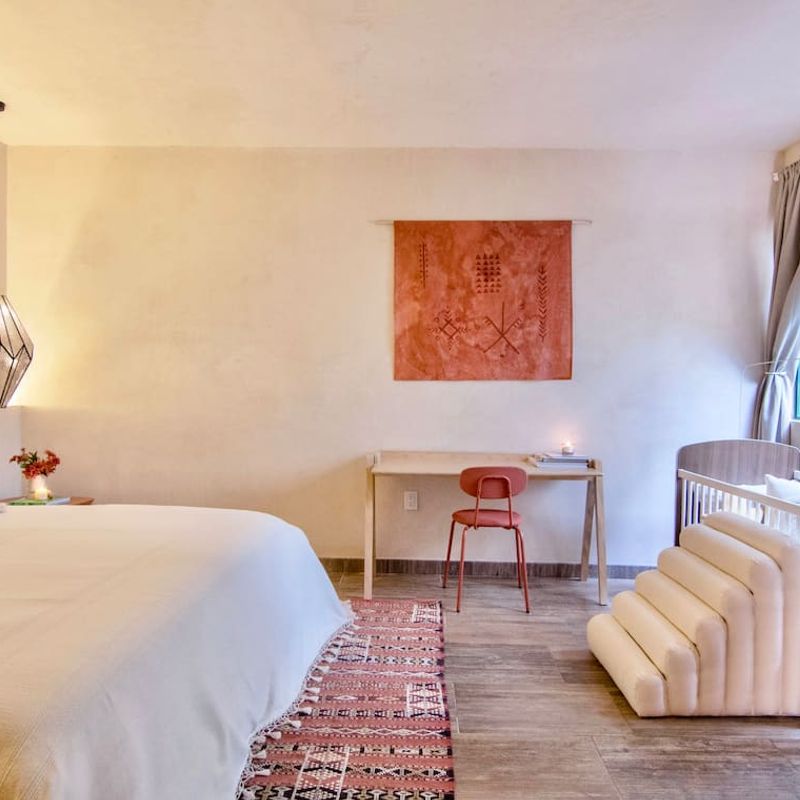 Two Homes in Polanco