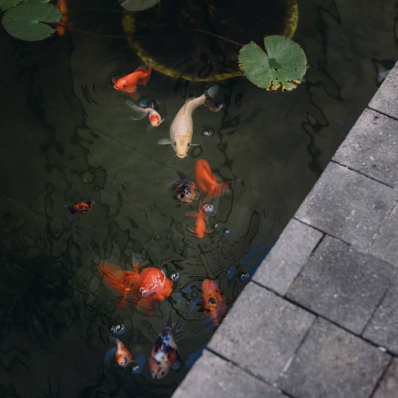 Luxury Home in Oaxaca