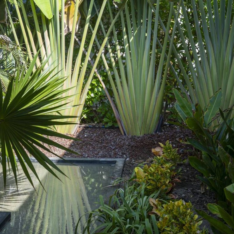 Oceanfront Home in La Barra de Colotepec