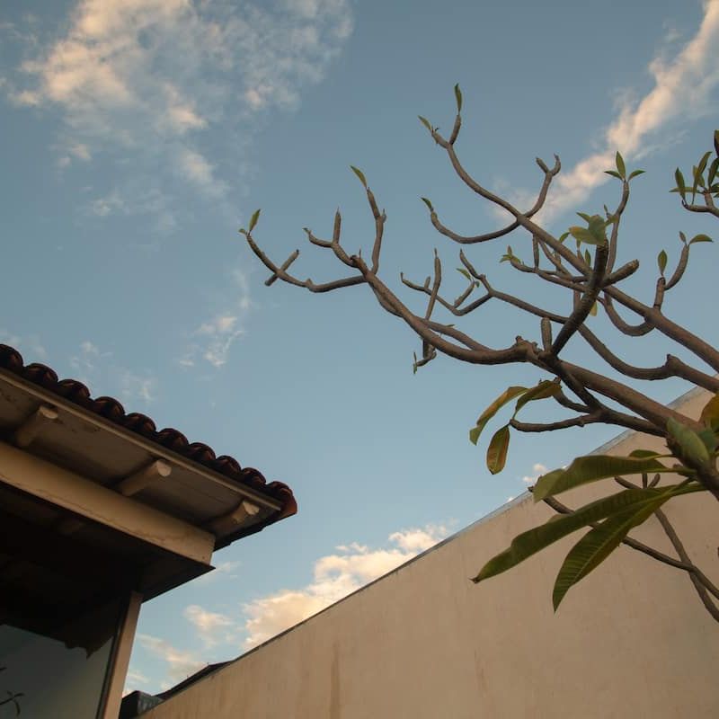 17th Century Home in Oaxaca