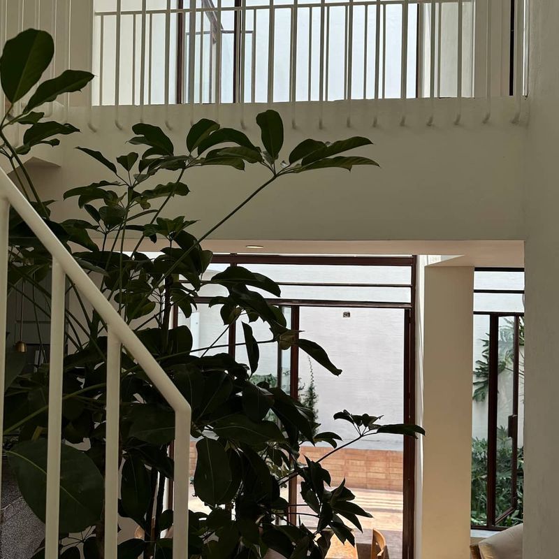 Designer Home in Condesa