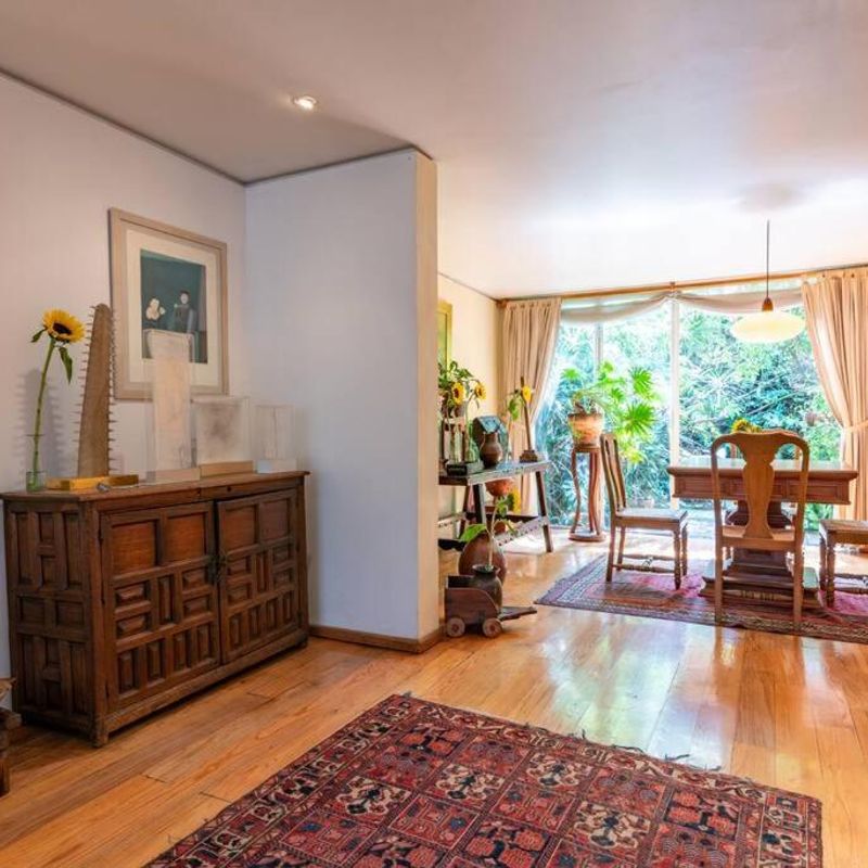 Artist's Home in Condesa