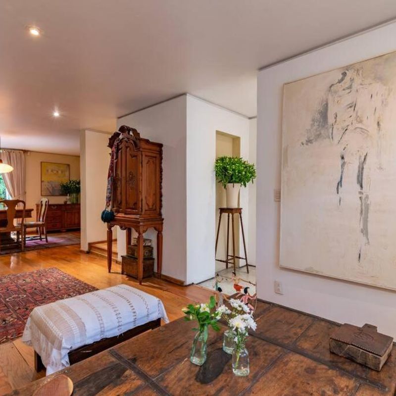 Artist's Home in Condesa