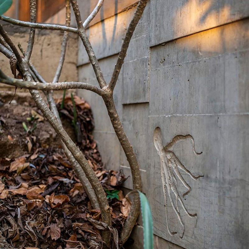 Apartment in Mazunte