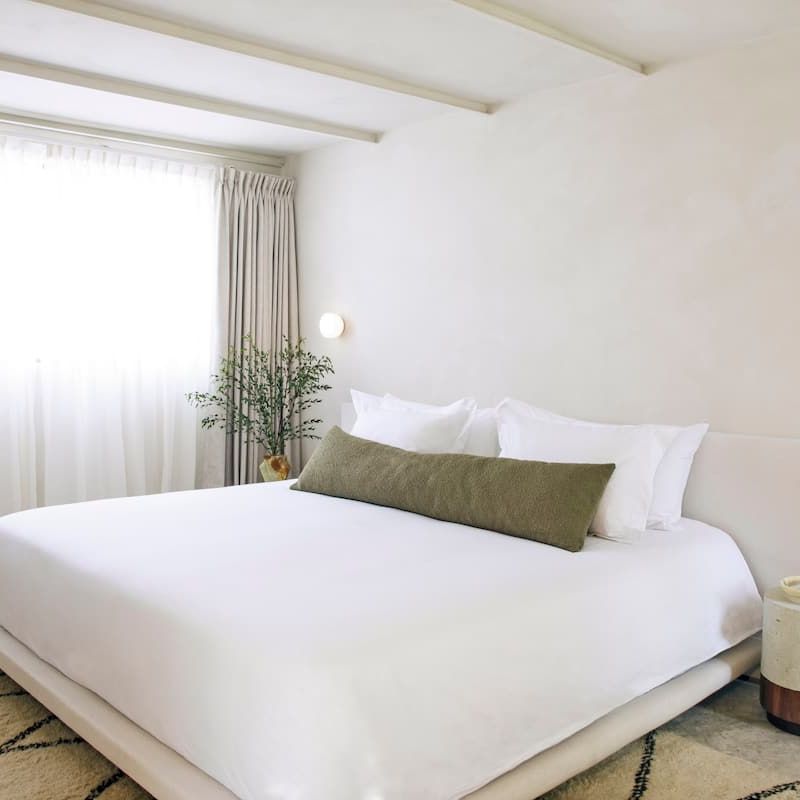 Designer Home in Condesa