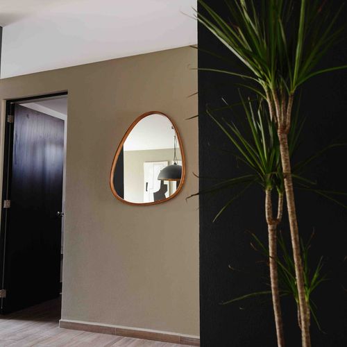Apartment in Roma Norte