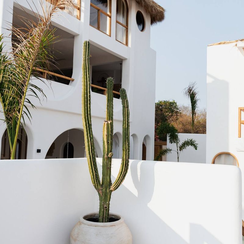 Tropical Home in Puerto Escondido