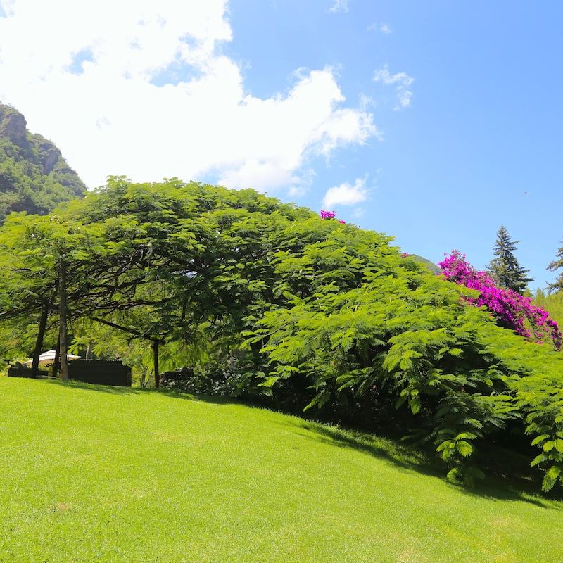 Countryside Home in Malinalco