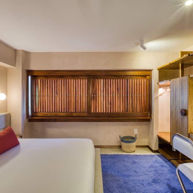 Two Apartments in Condesa