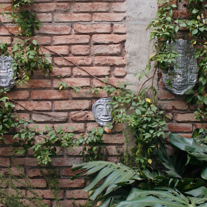 Large Home in Roma Sur