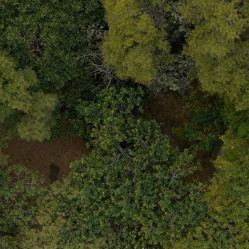 Home in Amatlan