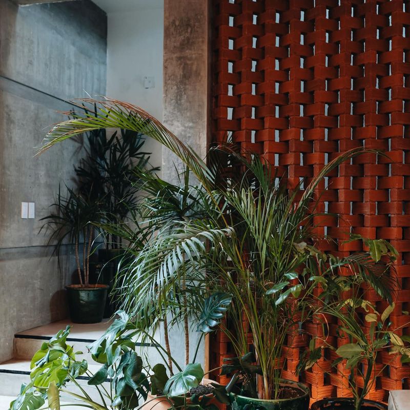 Designer Home in Oaxaca