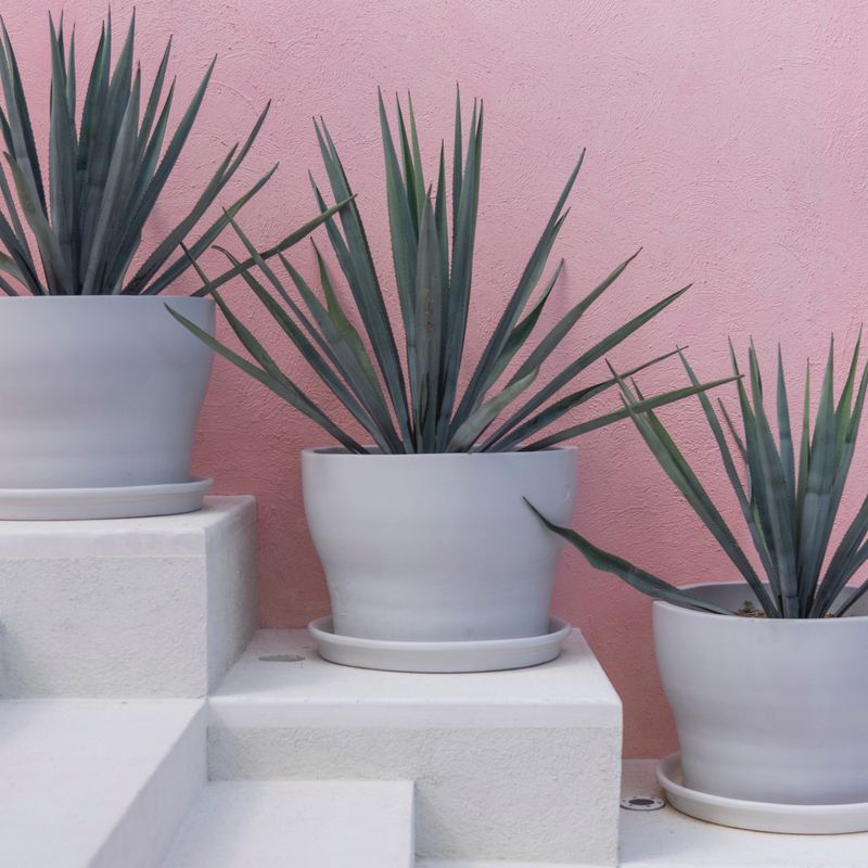 Pink Cliffside Villa in Careyes