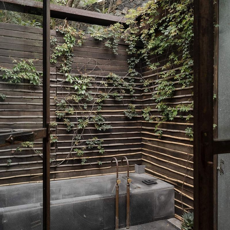 Zen Cabin in Amatlan