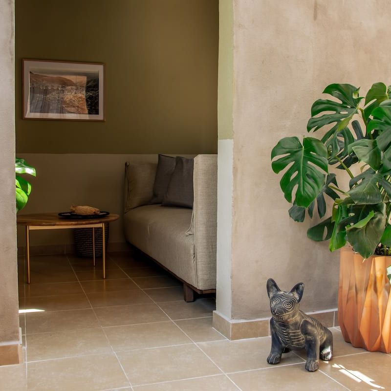 Penthouse in Condesa