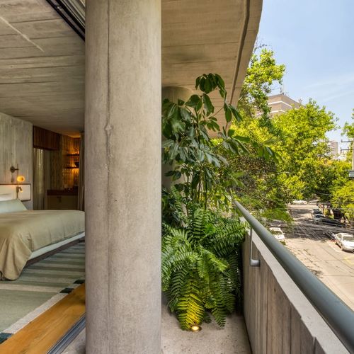 Designer Apartment in Mexico City