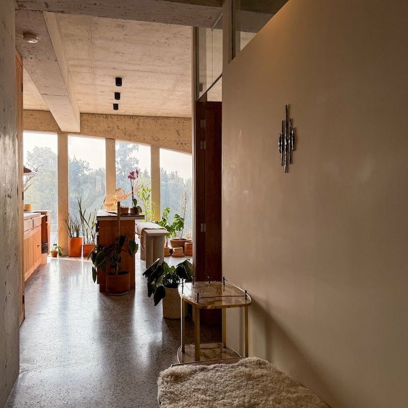 Apartment in Condesa