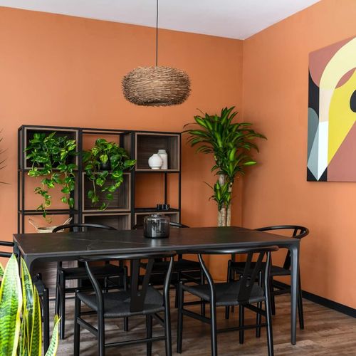 Apartment in Roma Sur