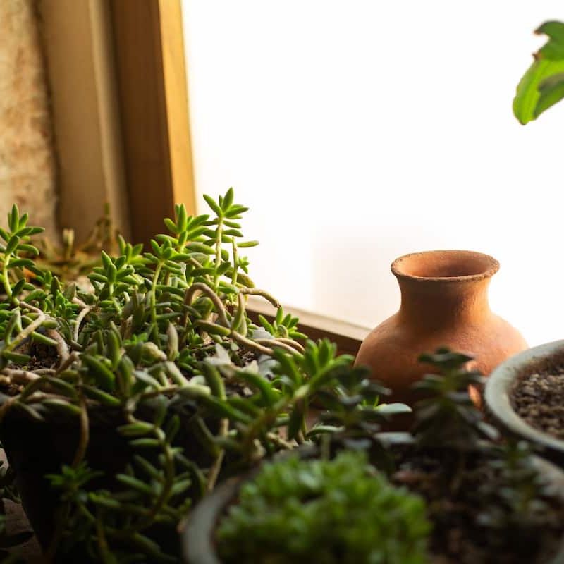 17th Century Home in Oaxaca