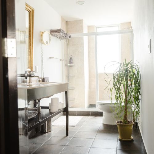 Apartment in Roma Norte