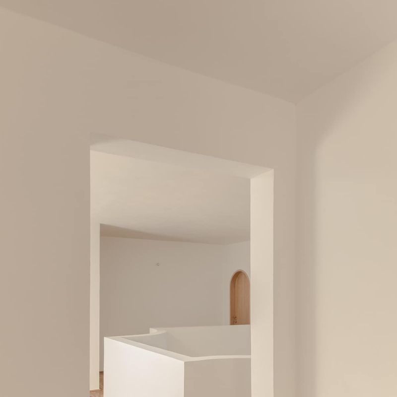 Two Homes in Condesa