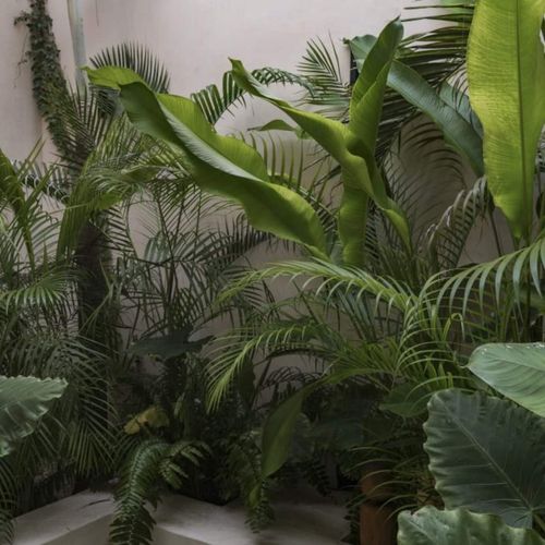 Home in Paseo de Montejo