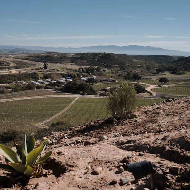 Stunning Home in Valle de Guadalupe
