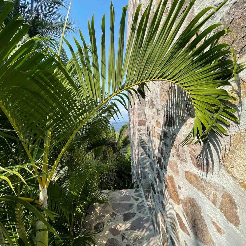 Villa in Costa Careyes