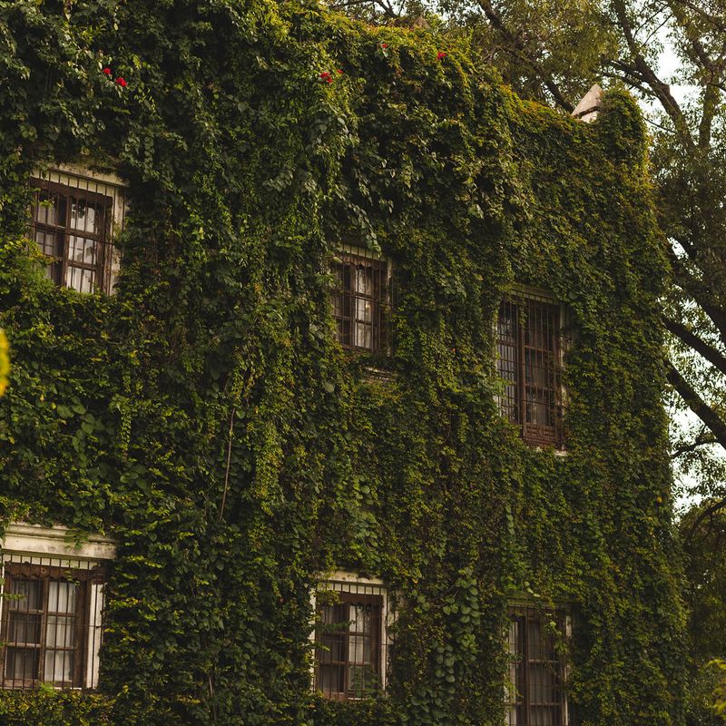 17th Century Hacienda in Morelos