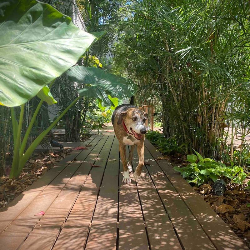 Historic home in Paseo Monetjo