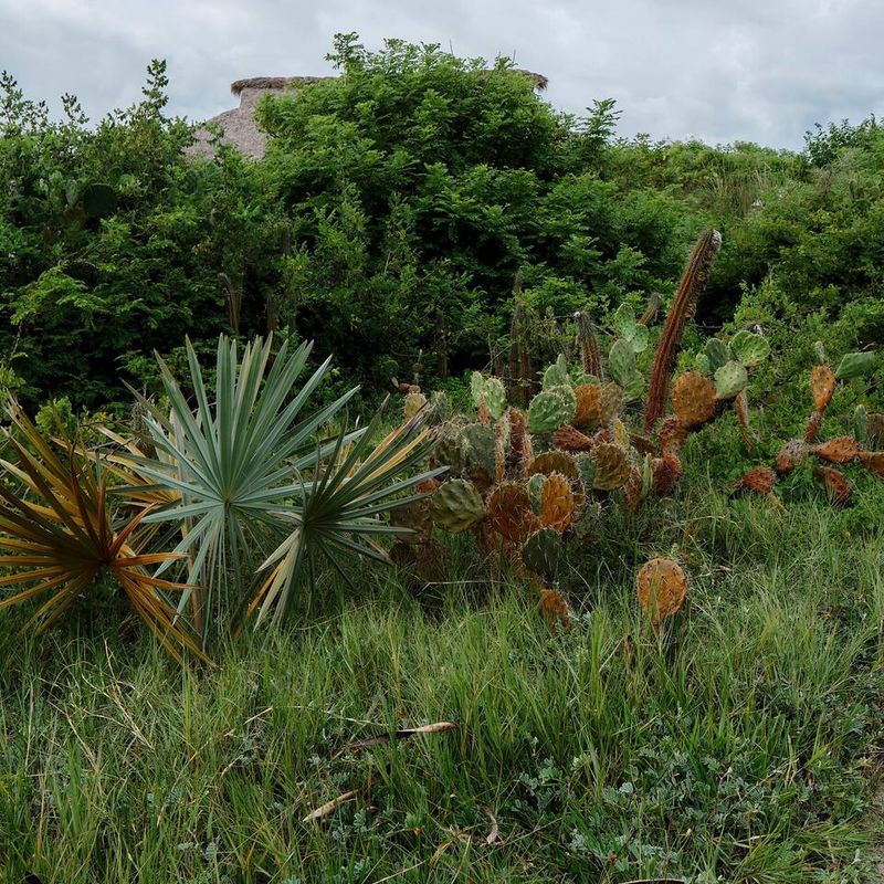 Boutique Hotel in Casa Wabi Area