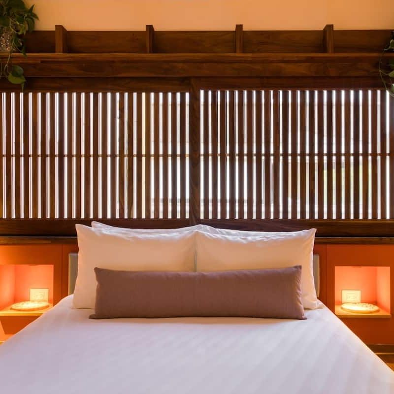 Two Apartments in Condesa