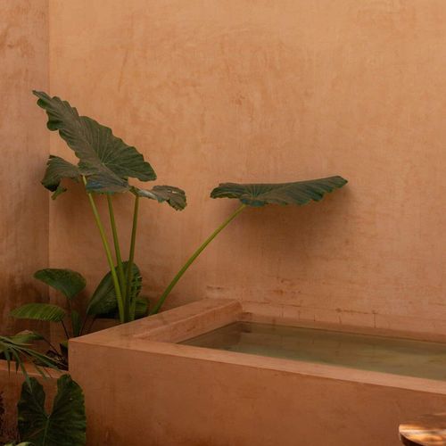 Home in Tulum