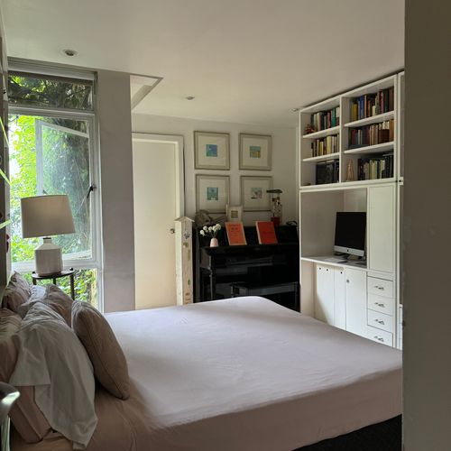 Artist's Home in Condesa