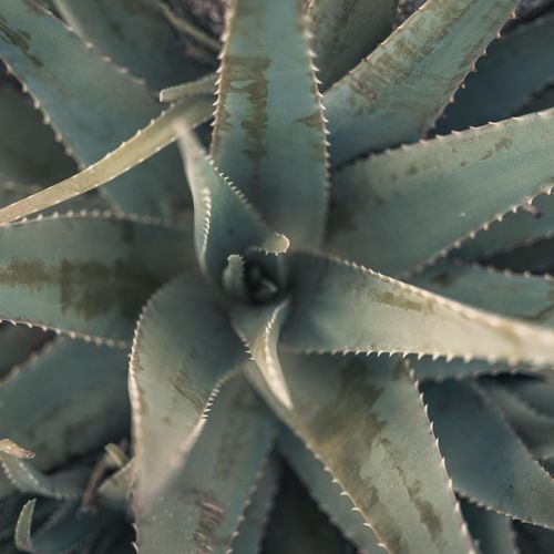 Brutalist Home in East Cape