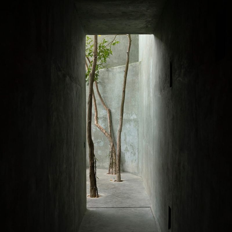 Home in Sisal Valladolid 