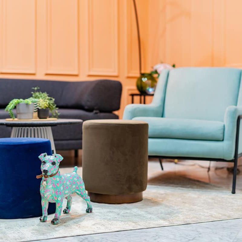 Large Home in Condesa