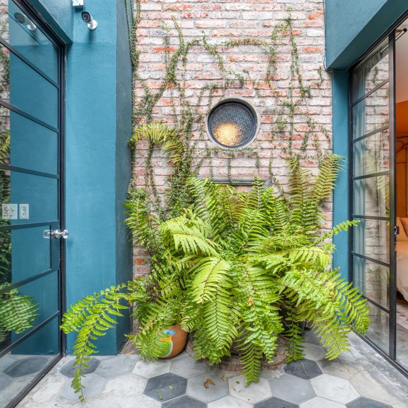 Stunning Home in Escandon