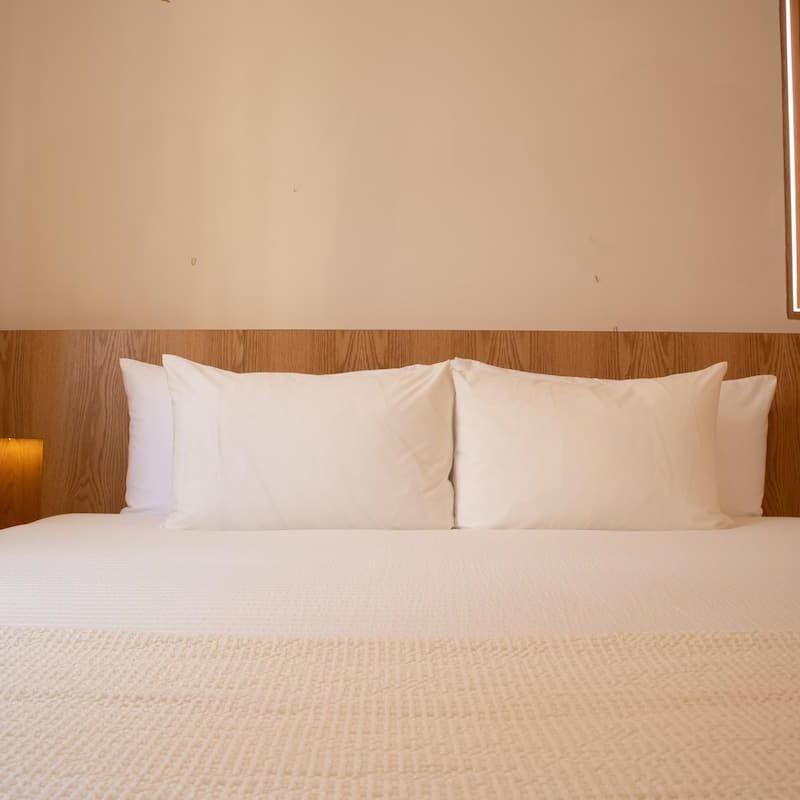 Designer Home in Condesa