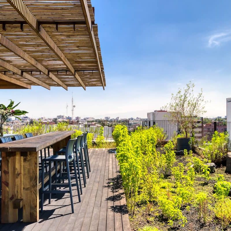 Apartment in Roma Norte