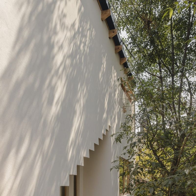 Two Homes in Condesa